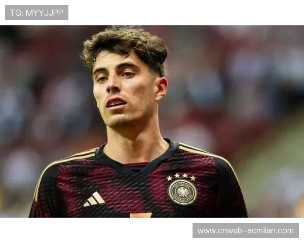 德甲球迷忠诚度调查，地域归属感成核心